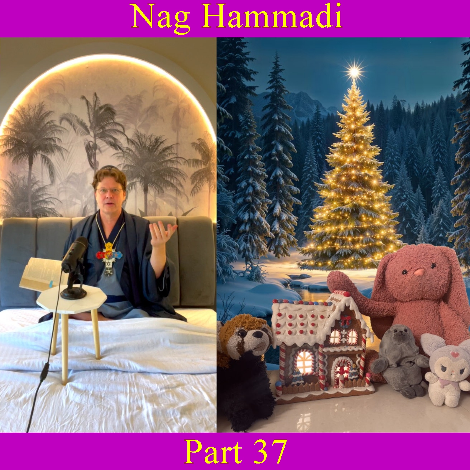 Nag Hammadi - Part 37 episode artwork