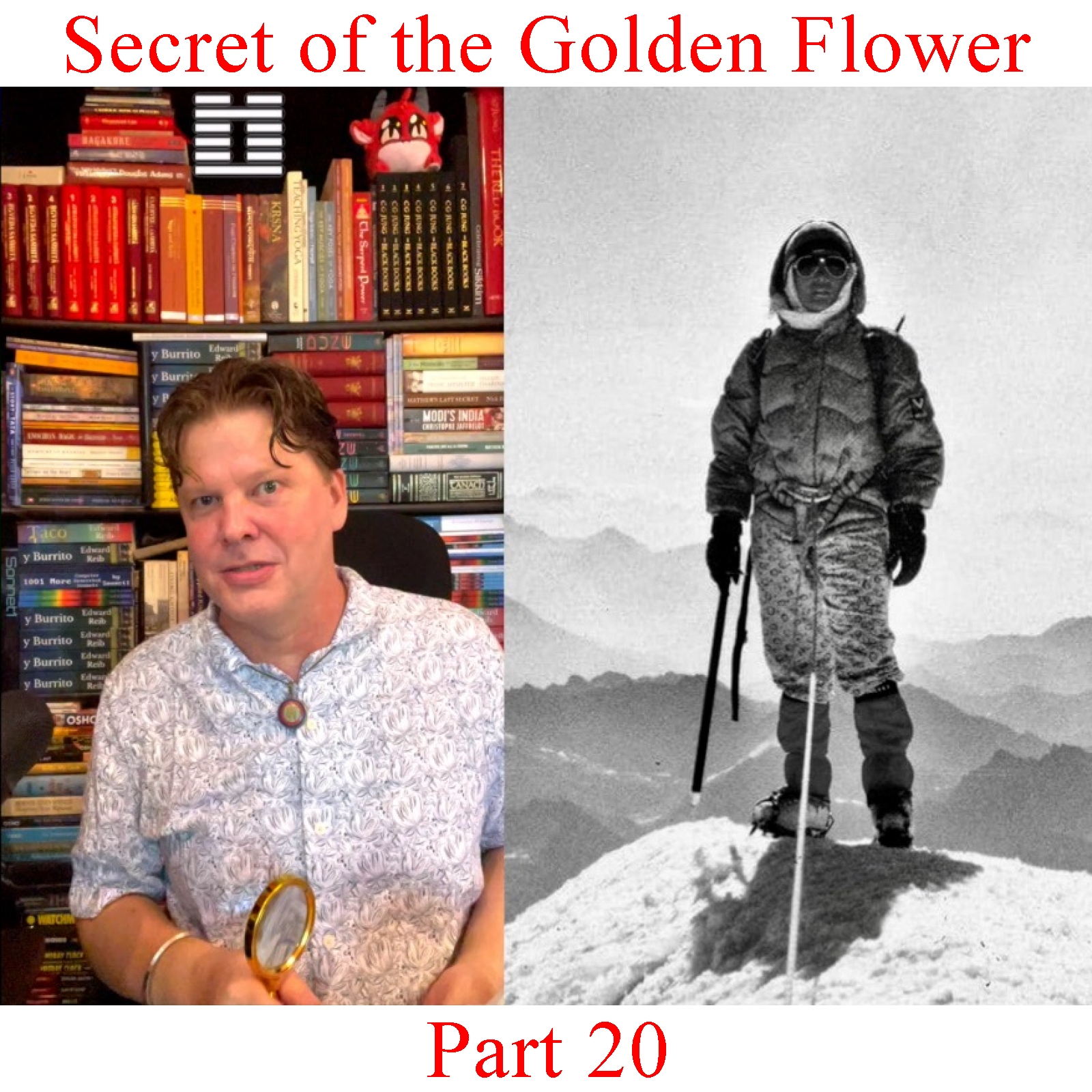 The Secret of the Golden Flower - Part 20 episode artwork