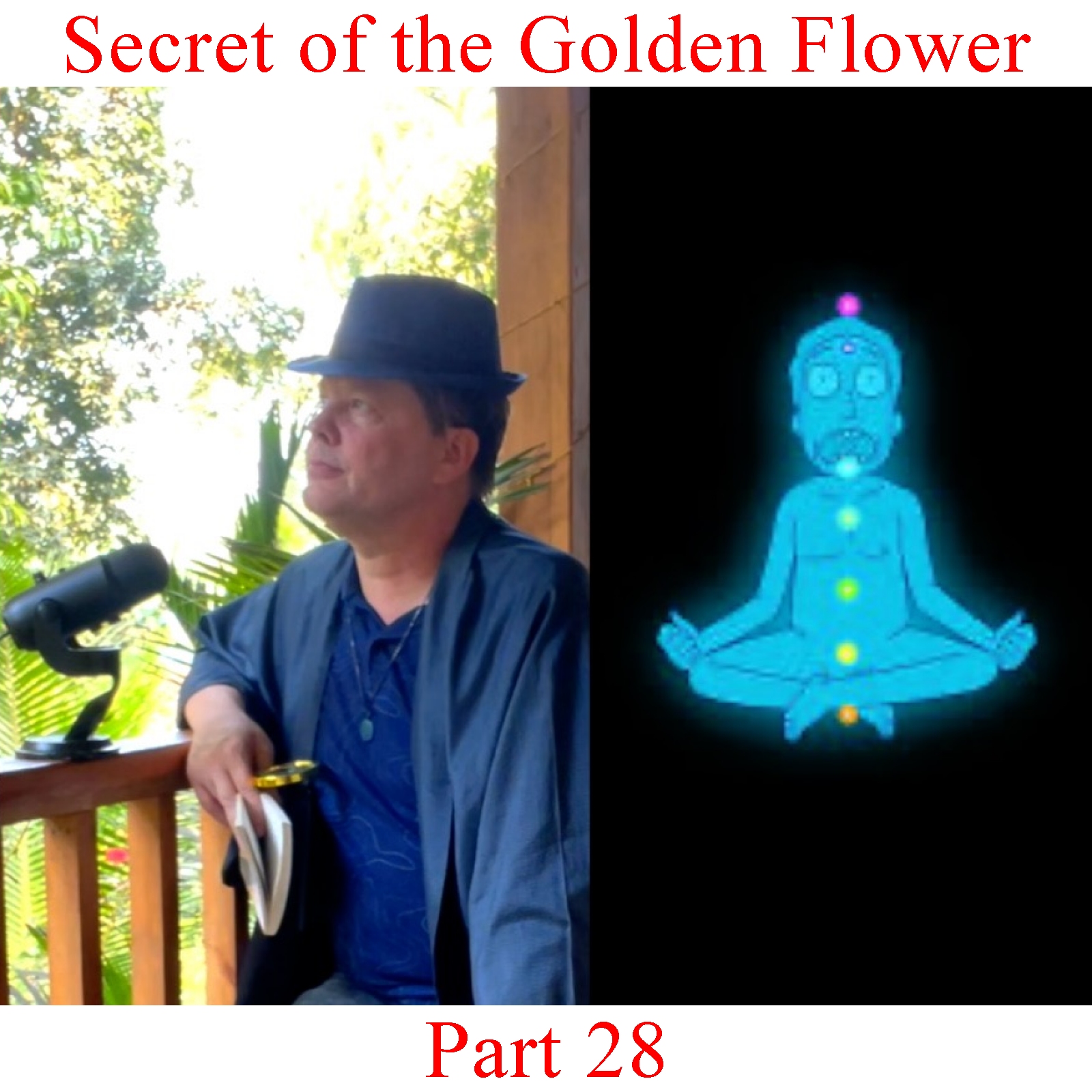 The Secret of the Golden Flower - Part 28 episode artwork