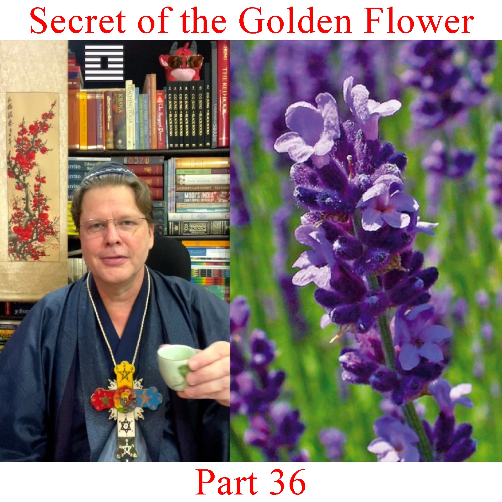 The Secret of the Golden Flower - Part 36 episode artwork